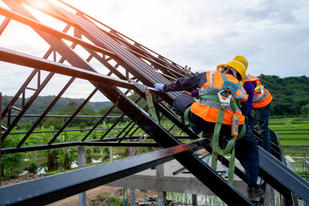 Best Sealant for Roof  in Olivarez, TX