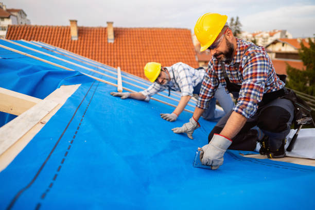 Best Local Roofing Companies  in Olivarez, TX