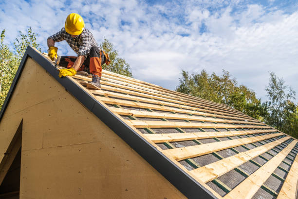 Best Metal Roofing Contractor  in Olivarez, TX