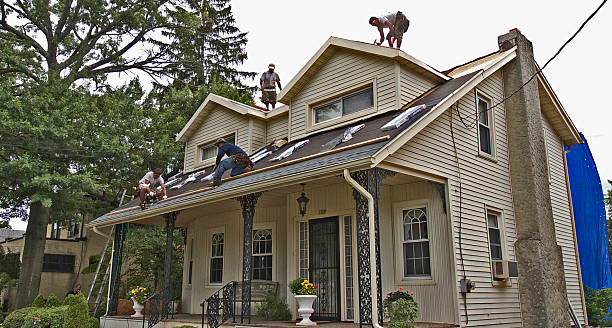 Best Roof Restoration Services  in Olivarez, TX