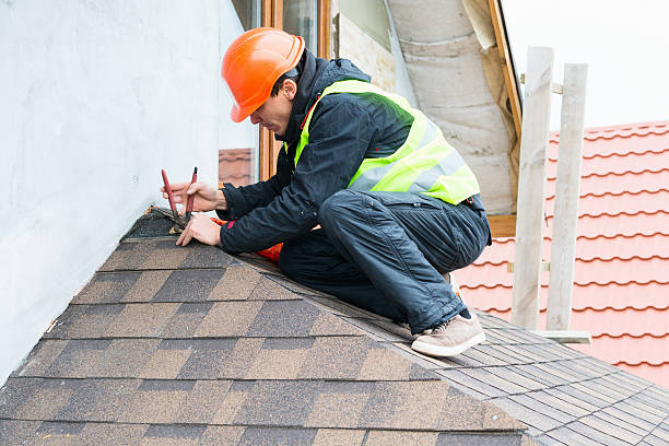 Best Roof Repair Services  in Olivarez, TX