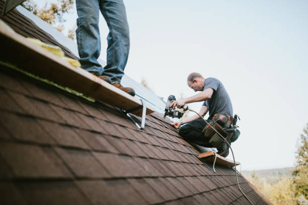 Best New Roof Installation  in Olivarez, TX