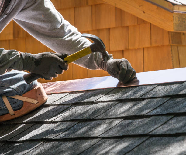 Best New Roof Installation  in Olivarez, TX